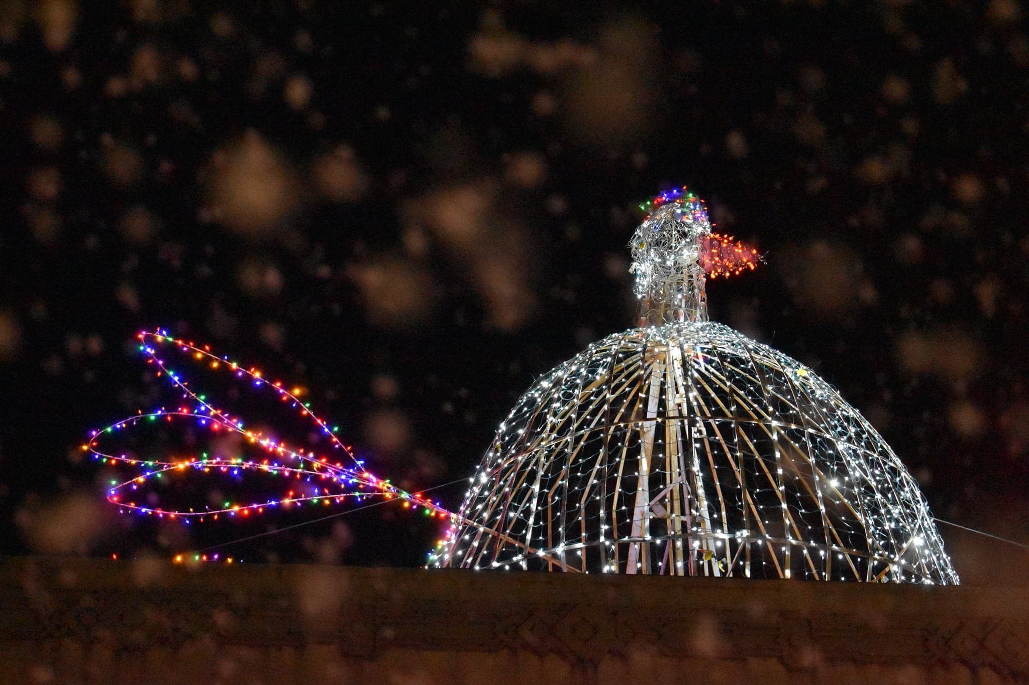 Lighting of the Chicken