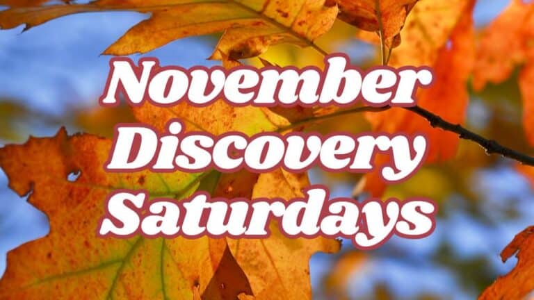 November Discovery Saturday - Elachee Nature Science Center | Explore ...